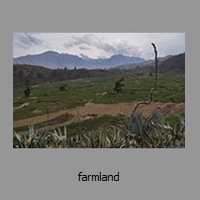 farmland